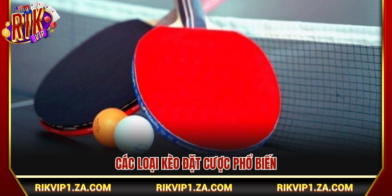 Những hình thức cược bóng bàn thông dụng
