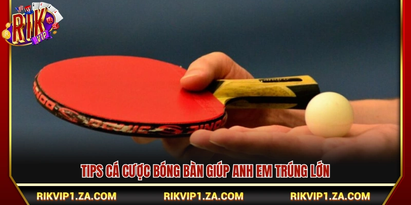 Bí kíp cá cược bóng bàn dễ ăn tiền